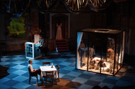 la sonnambula (c) gabriela neeb