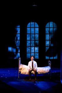 DrNest © Valeria Tomasulo