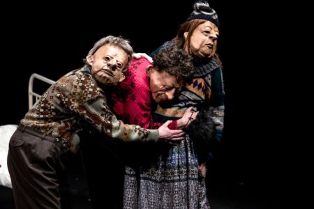 DrNest © Valeria Tomasulo