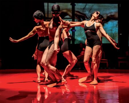 Os nadadores nocturnos, de José Manuel Mora, encenação de Carlota Ferrer